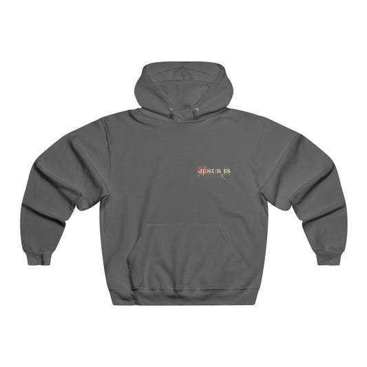 Jesus Is King - Hoodie